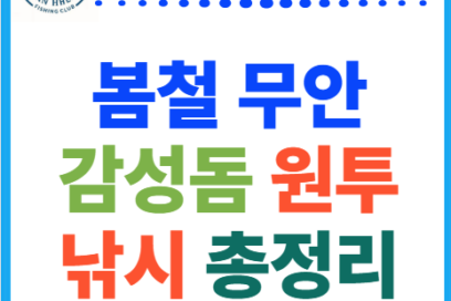 무안 감성돔 봄 원투 낚시 완벽 가이드 | 포인트, 채비세팅, 미끼추천, 조류, 수온