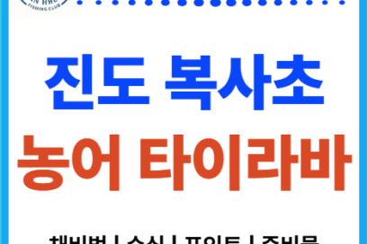 진도 복사초 농어 낚시 타이라바 필수 정보 | 채비법, 포인트, 시간대, 조류, 장비